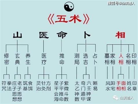 山醫命卜相|五术（仙、医、命、卜、相的合称）